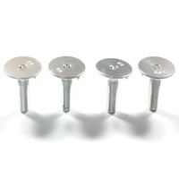 WXSNY M10 Hex Socket En Acier Au Carbone Zingué DIN15237 Seau Ascenseur Boulon Boulons De Ceinture
