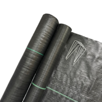 Toile de paillage Aorunluck noire et verte en PP, résistante aux UV, pour contrôle des adventices, durée de vie 3-5 ans