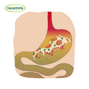 Healthife Hochwertiger Artischocken blattex trakt 2,5% 5% Gesamt-Cynarin-Chlor ogen säure - Product Image 3