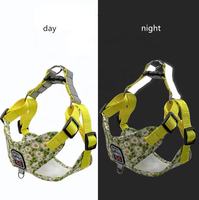 Ensemble laisse et harnais pour chien, laisse de promenade pour chien, harnais réglable pour chiot et chat, accessoires pour chiens de petite et moyenne taille