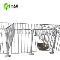 Équipement d'Élevage Porcin Fournisseur Usine Cages de Maternité et de Sevrage pour Porcs
