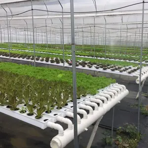 Quadratischer PVC-Kanal Gewächshaus Hydro ponic NFT für Salat