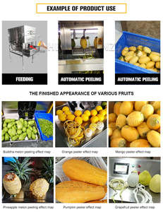 Verticale Rotatie Mango Citrus Industriële Elektrische Fruitschilmachine Fruitgroente Schilmachine Fruitschiller - Product Image 4
