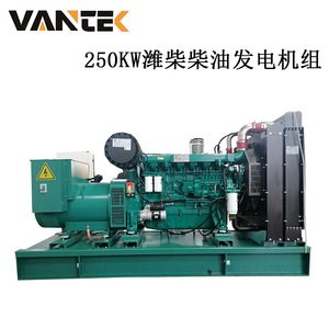 เครื่องกำเนิดไฟฟ้าดีเซล Jiangsu Wantai ขนาด 250 กิโลวัตต์ 400 โวลต์ 50 เฮิรตซ์ 1500 รอบต่อนาที พร้อมระบบ ATS สำหรับสำรองไฟฟ้าในโรงแรม - Product Image 4