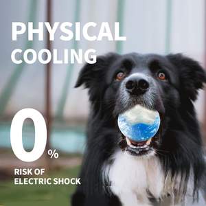 <span class=keywords><strong>Jouet</strong></span> pour chien AFP Hot Summer Ice Ball, <span class=keywords><strong>jouet</strong></span> de refroidissement pour chien, <span class=keywords><strong>jouet</strong></span> à mâcher pour chien, balle pour chien, <span class=keywords><strong>jouet</strong></span> à mâcher <span class=keywords><strong>froid</strong></span> pour chien, <span class=keywords><strong>jouet</strong></span> à mâcher pour chien qui mâche fortement - Product Image 3