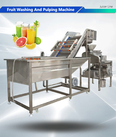 Commerciële Mangoborstel Waspulpmachine Bananenfruit Reinigingsmachine