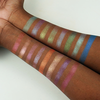 Palette d'ombres à paupières avec Logo personnalisé, étiquette privée, haute qualité, 209 couleurs