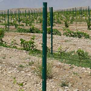 Poste <span class=keywords><strong>de</strong></span> enrejado <span class=keywords><strong>de</strong></span> metal para viñedo, bajo <span class=keywords><strong>precio</strong></span>, uso en granja - Product Image 5