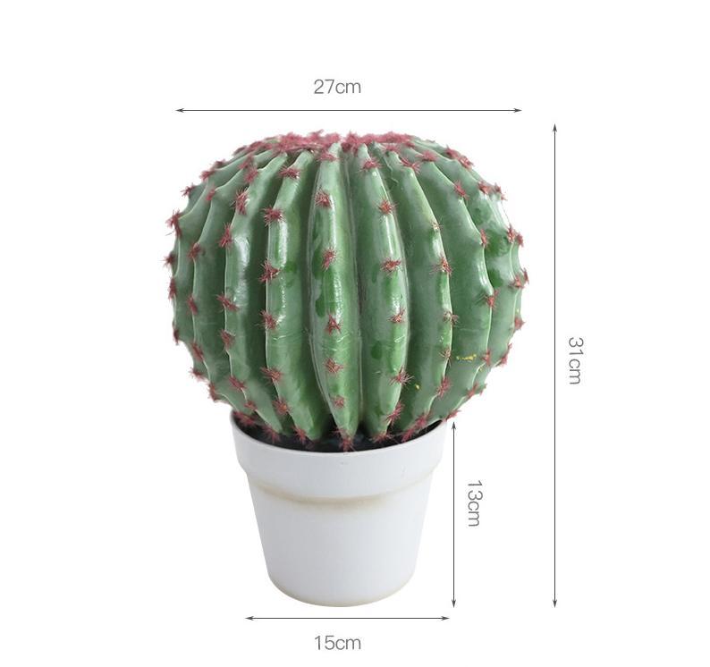 Le milieu s'appelle le cactus velours rouge