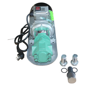 Bomba de engranajes autocebante de hierro fundido y acero inoxidable resistente a altas temperaturas, bomba eléctrica para aceite de alta viscosidad, diésel y aceite comestible - Product Image 2