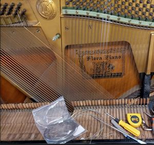 Cordes d'accordage en acier inoxydable poli fabriquées par la société d'origine-Accessoires d'instruments de musique pour <span class=keywords><strong>piano</strong></span> - Product Image 5