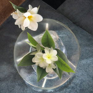 Nouvelle Arrivée Fleur de Plumeria Imprimée en 3D Réaliste avec <span class=keywords><strong>Tige</strong></span> Flexible - Plante Écologique au Toucher Réel pour Vase de Mariage et Décoration de Table - Product Image 3