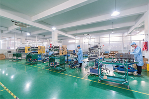 ตัวควบคุมความถี่ SVC FVC VF แบบเฟสเดียว/สามเฟส อินพุต 220V 3.7kw/4HP รุ่น BD600 สำหรับมอเตอร์แบบอะซิงโครนัส BD600-3R7G- - Product Image 5