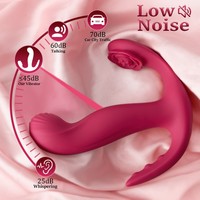 Culottes vibrantes pour femmes adultes, stimulateur clitoridien, vibromasseur pour points C et G, jouets sexuels pour couples