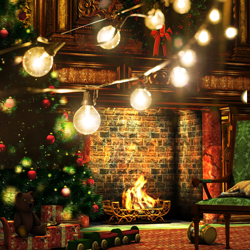 Outdoor Indoor 25FT 50FT 100FT G40 Globe String Lights with US and UK Plug