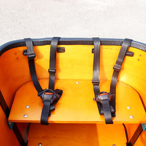 Vélo cargo électrique à 3 roues avec certificat CE, vélo électrique, Bakfiet, remorque, vélo cargo électrique, système d'amortissement avec animaux de compagnie, <span class=keywords><strong>chien</strong></span> et chat - Product Image 5