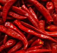 Piment rouge Teja de qualité supérieure, entier, séché, épice indienne, au goût fortement piquant, couleur rouge vif naturelle et arôme riche