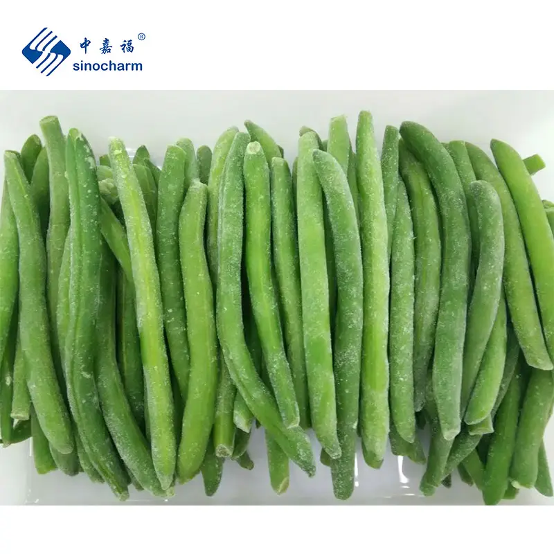 Sinocharm Haricots verts entiers certifiés HALAL Blue Lake Stringless IQF Vente en gros de haricots surgelés en vrac