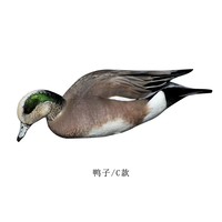 Décoy de canard sauvage réaliste en PP, pliable et portable, style champêtre, pour jardins résidentiels
