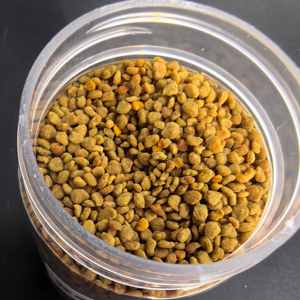 Pollen d'abeille de sarrasin de haute qualité en gros, pollen d'abeille frais et biologique, 100% pur, pollen d'abeille de sarrasin - Product Image 3