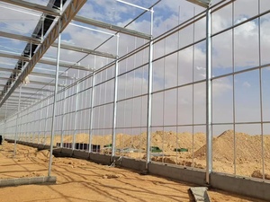 Tropische polycarbonaat PC-kassen en commerciële hydroponische teeltsystemen voor tomaten, sla en aardbeien - Product Image 2