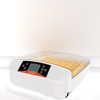 Incubateur d'Œufs 50 Positions EW-56S avec Plateau en Plastique et Testeur, pour Revente