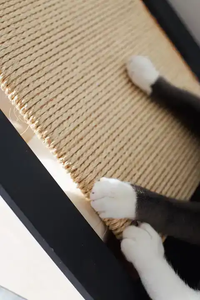 Presa di fabbrica colore puro stile delizioso prezzo competitivo in legno cat <span class=keywords><strong>dog</strong></span> house in legno casetta per gatti case per animali domestici - Product Image 4