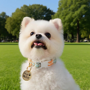 Collar de perro de árbol de níspero elegante moderno personalizado con algodón suave lujoso y característica de iluminación elegante - Product Image 1