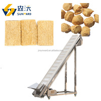 Ligne de production de machines de transformation de protéines de soja texturées pour la fabrication de viande végétarienne 2025, produits à base de soja, extrudeuse à double vis