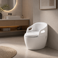 WC intelligent moderne monobloc avec bidet automatique, évacuation en P/S, réservoir encastré, design de luxe, OEM disponible