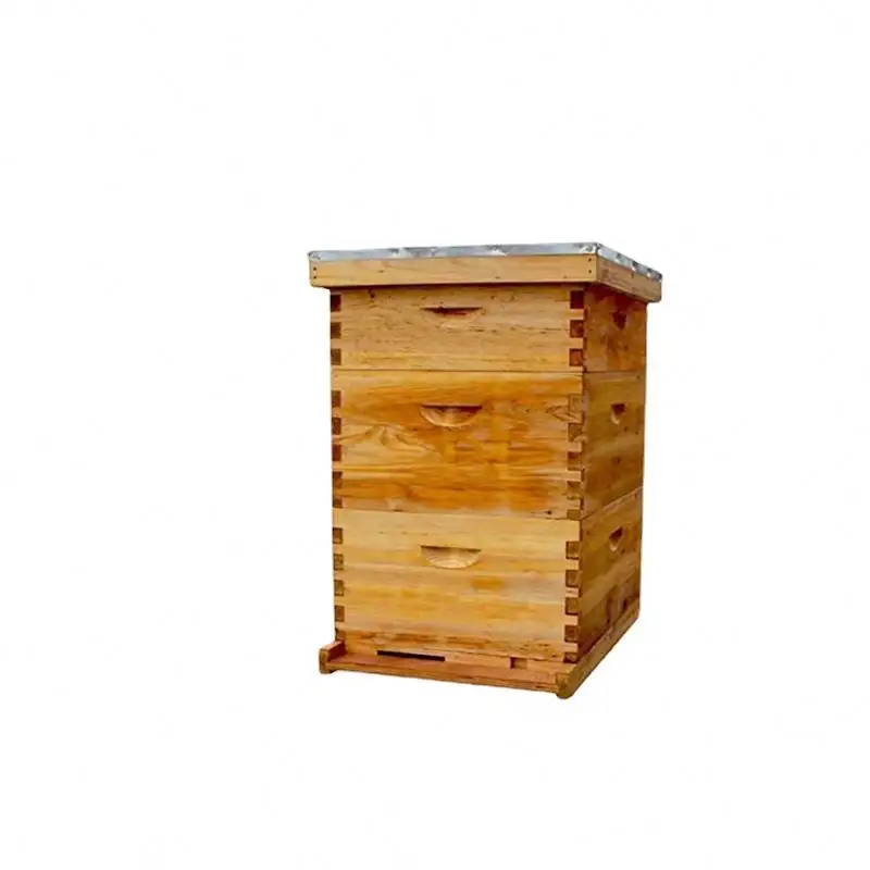 Balmumu kaplı arı kovanı komple Langstroth 10 çerçeveleri kiti arıcılık ekipmanları ahşap bal kutusu İşlevli manuel seviyeleri