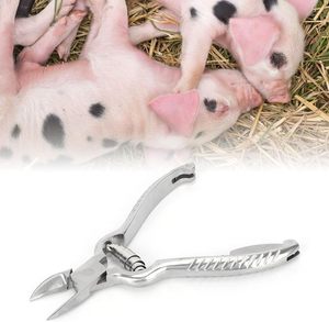 CASHT 14cm Premium En Acier Inoxydable Porcelet Dents Cutter Confortable Grip Ciseaux Élevage Des <span class=keywords><strong>Animaux</strong></span> De Ferme Nouvelle Économie De Travail 6 Mois - Product Image 6