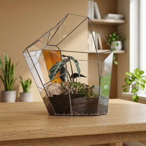 Wholesale Handcrafted Irregular Geometric Glass Terrarium Black Finished Iron <b>Frame</b> for Home Garden Succulent <b>Plant</b> Display - Product Image 1