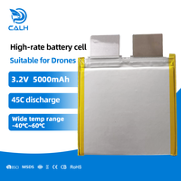 Cellule lithium-ion 3,2V 5Ah à décharge rapide 45C, 7000 cycles, -40°C ℃ ~60 ℃   Batterie LFP Lifepo4 3.2v 5000mAh en forme de pochette pour drone UAV
