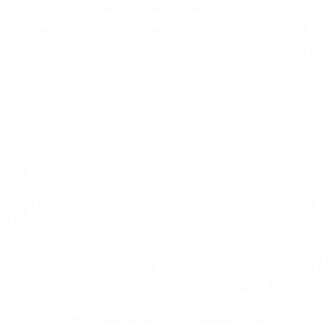 Conchas de trompeta que cantan, ideales para crear cuernos naturales, mostrar vibraciones oceánicas y crear sonidos inspirados en el mar - Product Image 1