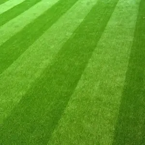 Meisen Durable Artificial Turf für Fußballplatz 40mm 50mm 60mm Best Cost Green Mono filament PP Grass Turf