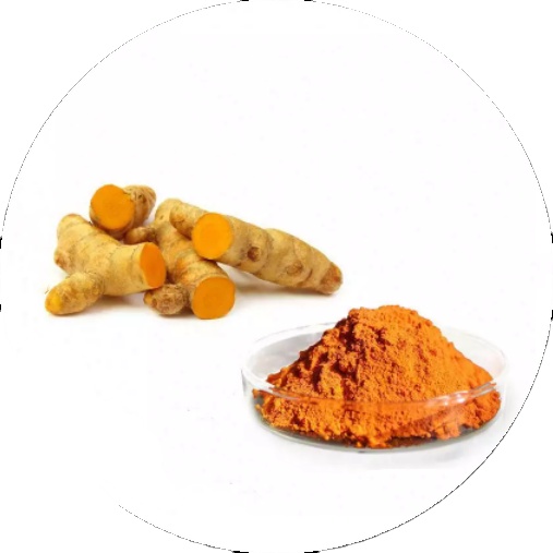 Высококачественный порошковый экстракт куркумы/органический порошковый экстракт куркумы 100% 95% порошок куркумы