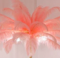 Lampe sur pied en résine de style nordique moderne de luxe pour chambre à coucher et salon, lampe à plumes d'autruche à LED - Product Image 6