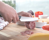 Couteau à légumes utilitaire en acier inoxydable de qualité supérieure de 5.5 pouces avec lame tranchante et manche en plastique