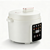Autocuiseur Électrique Multifonction OEM 110V/220V Cylindrique 3L avec Contrôle Numérique par Minuteur, Cuisson Rapide et Système de Maintien au Chaud pour Hôtels et Usage Domestique