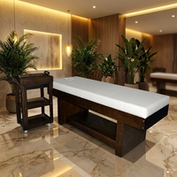 Weiße Tragbare Massageliege für Gesichts-/Wimperntherapie Modernes Holz-Eisen-Design Verstellbare Rückenlehne Hochdichte Polsterung für Wohnzimmer und Hotel