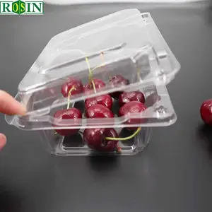 Individuelle einweg-Übersichtliche rechteckige Clamshell-Blister-Verpackungsboxen aus PET-PVC-Kunststoff Tomaten 500 g Obst