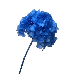 Ramo <span class=keywords><strong>de</strong></span> Flores Secas LUYI, <span class=keywords><strong>Hojas</strong></span> Grandes, Rosa, Azul, Morado, Blanco, Rosa Empolvado, Rojo, Hortensias Preservadas para Decoración <span class=keywords><strong>de</strong></span> Eventos - Product Image 3