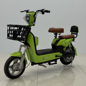 <span class=keywords><strong>Bicicleta</strong></span> Eléctrica de Alto Rendimiento de 48V 250W para Adultos, Neumático de Vacío de 14 Pulgadas, Ebike Adaptable de 48V 12Ah <span class=keywords><strong>con</strong></span> Amortiguador Trasero - Product Image 3