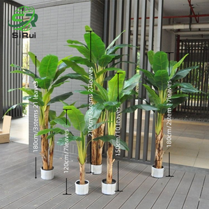 Bananier artificiel <span class=keywords><strong>en</strong></span> plastique grand bonsaï plante au sol décoration intérieure écologique haut de gamme <span class=keywords><strong>en</strong></span> <span class=keywords><strong>vrac</strong></span> <span class=keywords><strong>en</strong></span> stock - Product Image 2