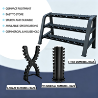 Support de Rangement pour Haltères en Acier de Haute Qualité, Équipement de Fitness pour la Maison et la Salle de Sport Commerciale, Couleur Personnalisée OEM