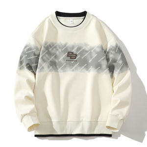 Suéter informal japonés para hombre, camiseta holgada de manga larga para primavera y otoño, transpirable, fresca, cómoda y popular - Product Image 1