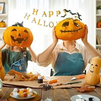 Professionele, heavy-duty, roestvrijstalen, handmatige 7-delige Halloween-pompoen snijset
