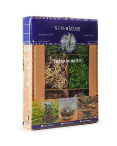 Il Kit per terrario <span class=keywords><strong>fai</strong></span> <span class=keywords><strong>da</strong></span> <span class=keywords><strong>te</strong></span> a tema foresta in stile Country e l'utilizzo del pavimento per la casa e il giardino aggiungono vita alle fioriere di vasi di fiori - Product Image 5