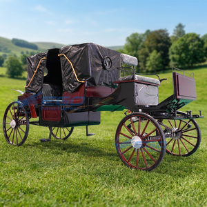 Élégante calèche de tourisme vintage à chevaux avec auvent, chariot de transport spécial à quatre roues - Product Image 1